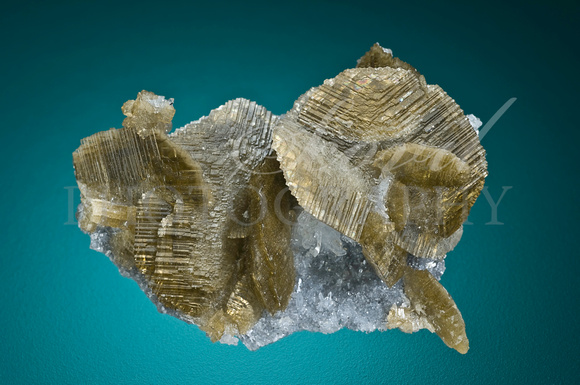 Siderite, quartz. 5.5 cm w. La Mure, Isere, France. E Asselborn coll.