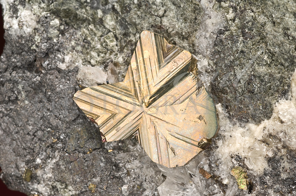Cubanite. 1.8 cm w. Henderson #1 M, Que, Canada. J & G Spann coll.