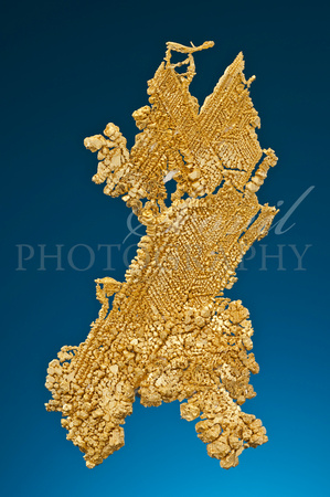 Gold. 7.7 cm h. Round Mtn. M,  Nevada, USA. K & M Proctor coll.