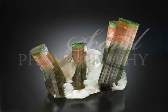 Elbaite, quartz, albite. 17.5 cm w. Himalaya M, Mesa Grande, CA, USA. M Zinn coll.
