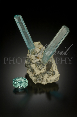 Aquamarine, quartz, albite, muscovite; Mt. Antero, CO, USA. Collector's Edge.