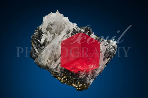 Rhodochrosite, quartz. 4.8 m w. Sweet Home M, Alma, CO, USA. B Butkowski coll.